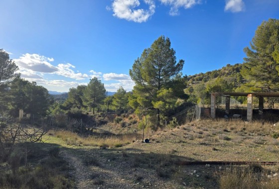 Herverkoop - Vrijstaande Villa -
Petrer