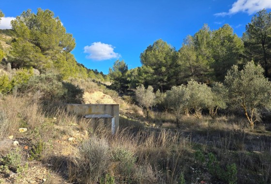 Herverkoop - Vrijstaande Villa -
Petrer