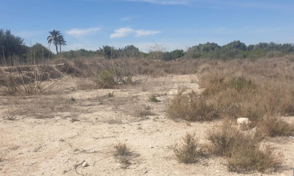 Plot Land - Sale - Benferri -
                HUERTA PUEBLO