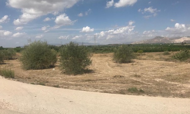 Sale - Plot Land -
Benferri - HUERTA PUEBLO