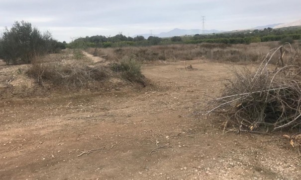 Sale - Plot Land -
Benferri - HUERTA PUEBLO