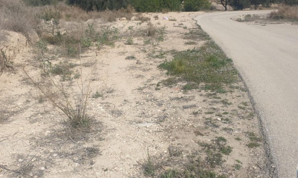 Sale - Plot Land -
Benferri - HUERTA PUEBLO