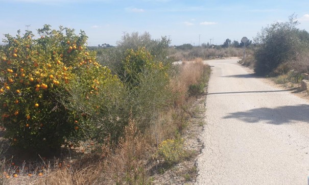 Sale - Plot Land -
Benferri - HUERTA PUEBLO