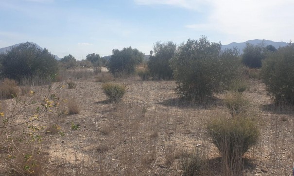 Videresalg - Grund Jord -
Benferri - HUERTA PUEBLO