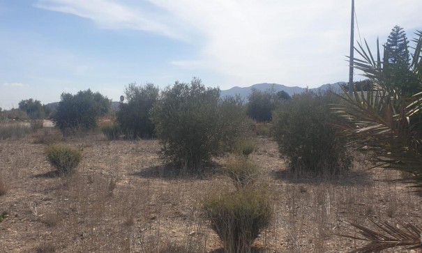 Videresalg - Grund Jord -
Benferri - HUERTA PUEBLO