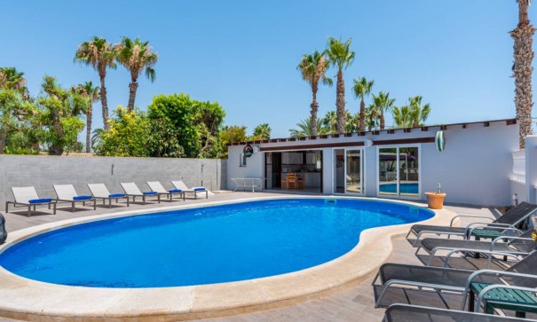 Venta - Finca Propiedad rural -
Catral