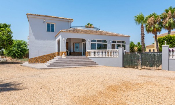 Venta - Finca Propiedad rural -
Catral