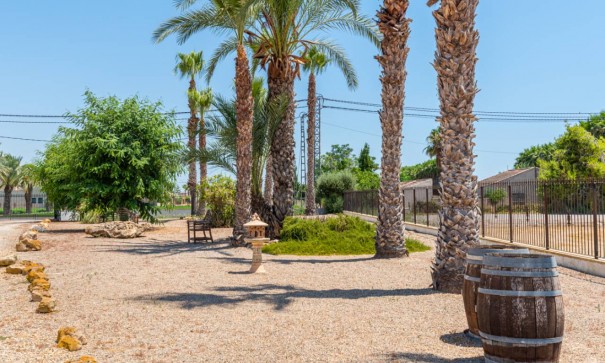 Venta - Finca Propiedad rural -
Catral