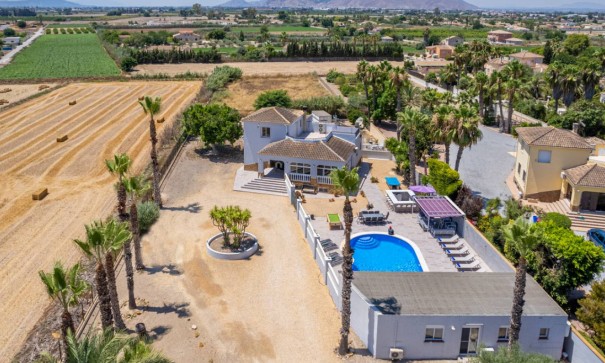 Venta - Finca Propiedad rural -
Catral