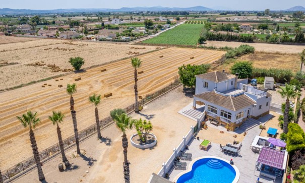 Venta - Finca Propiedad rural -
Catral