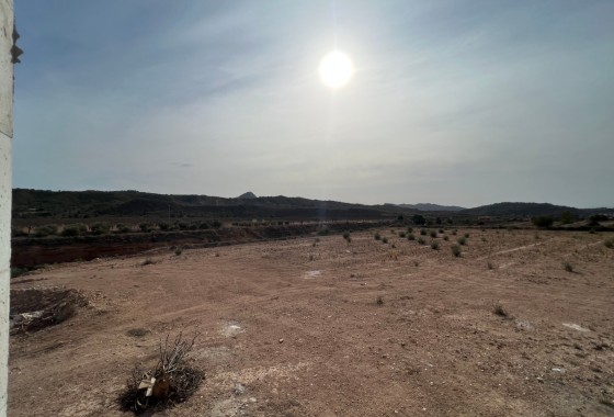 Nouvelle construction - Villa Individuelle -
Macisvenda