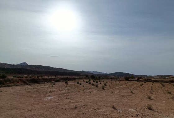 Nouvelle construction - Villa Individuelle -
Macisvenda