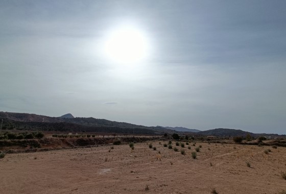 Nouvelle construction - Villa Individuelle -
Macisvenda