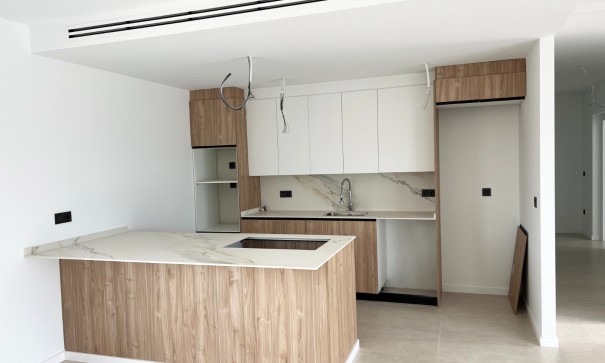 Nowa konstrukcja - Willa wolnostojąca -
Aspe