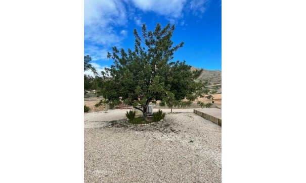 Herverkoop - Vrijstaande Villa -
Macisvenda - Macisvenda Murcia