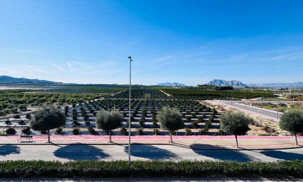 Återförsäljning - Lägenhet lägenhet -
Algorfa