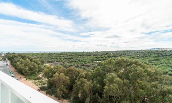 Återförsäljning - Lägenhet lägenhet -
Guardamar del Segura - puerto deportivo