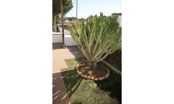 Återförsäljning - Fristående villa -
Cabo Roig - MUY CERCA DE LA PLAYA