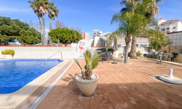 Sale - Apartment Flat -
Torrevieja - La Mata