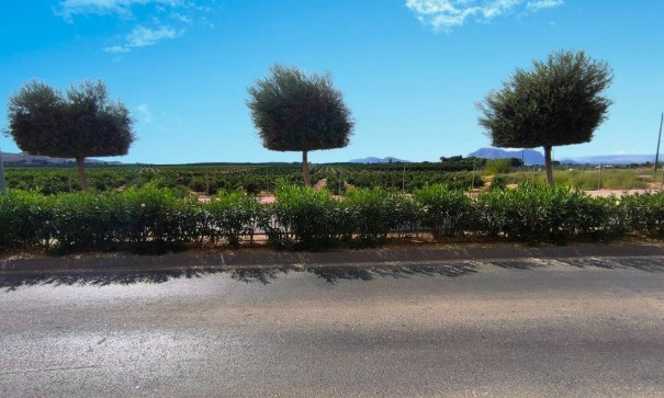 Sale - Apartment Flat -
Algorfa