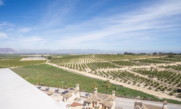 New Build - Detached Villa -
Algorfa - La Finca Golf