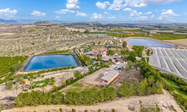 Återförsäljning - Finca lantlig egendom -
Torremendo