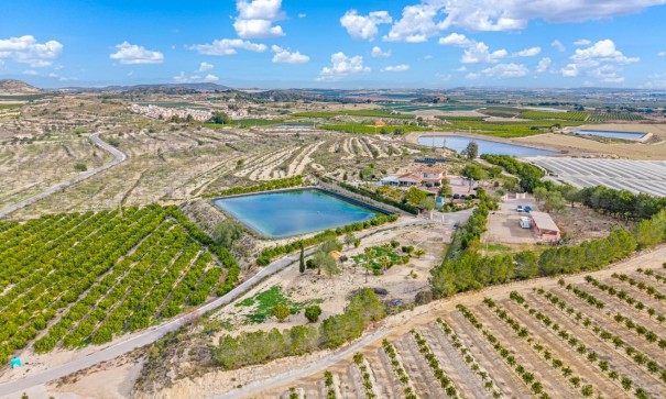 Återförsäljning - Finca lantlig egendom -
Torremendo