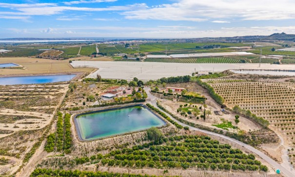 Återförsäljning - Finca lantlig egendom -
Torremendo