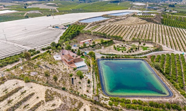 Återförsäljning - Finca lantlig egendom -
Torremendo