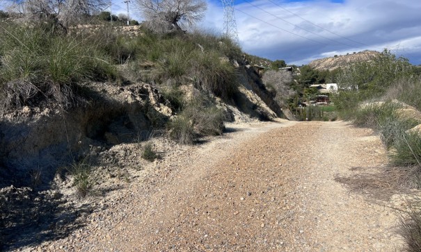 Venta - Finca Propiedad rural -
Torremendo