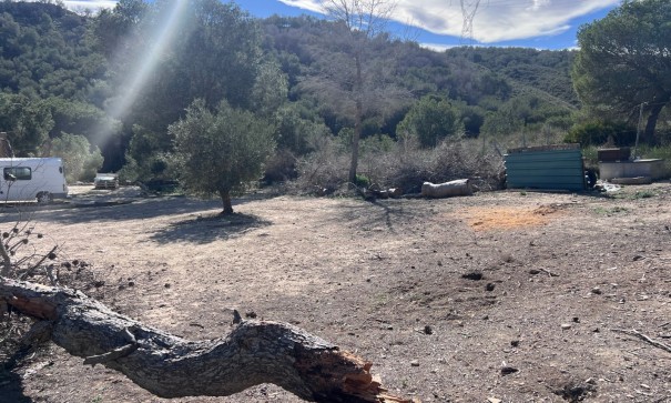 Venta - Finca Propiedad rural -
Torremendo