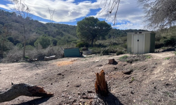 Venta - Finca Propiedad rural -
Torremendo