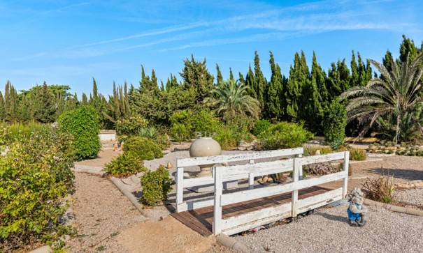 Venta - Finca Propiedad rural -
Los Montesinos