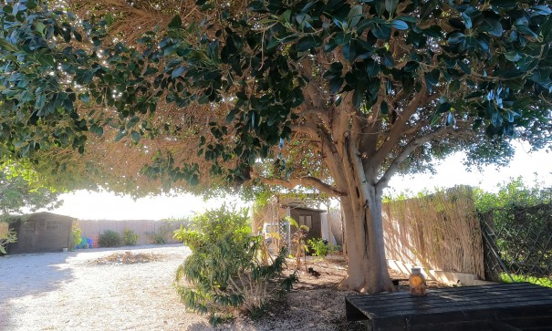 Återförsäljning - Finca lantlig egendom -
Orihuela