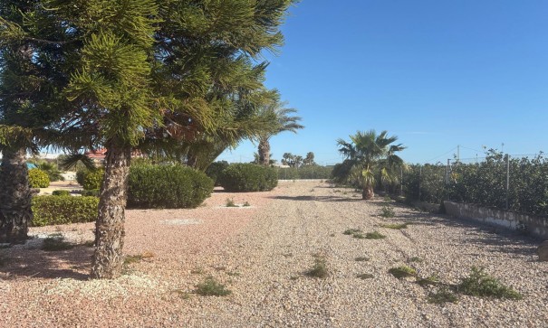 Venta - Chalet Independiente -
Albatera