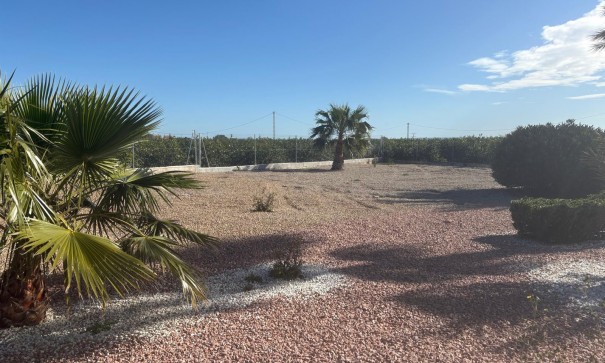 Venta - Chalet Independiente -
Albatera