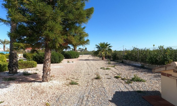 Venta - Chalet Independiente -
Albatera