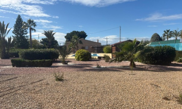 Venta - Chalet Independiente -
Albatera