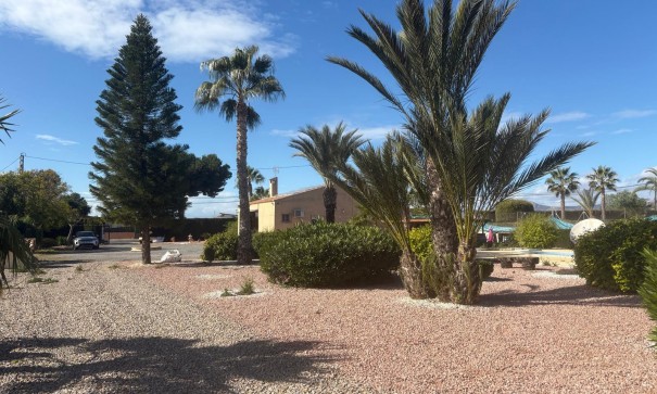 Venta - Chalet Independiente -
Albatera