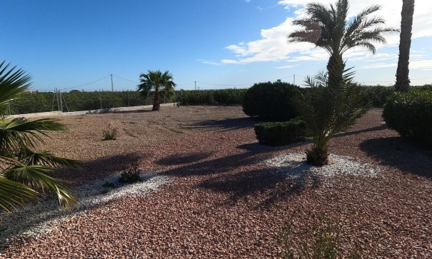 Venta - Chalet Independiente -
Albatera