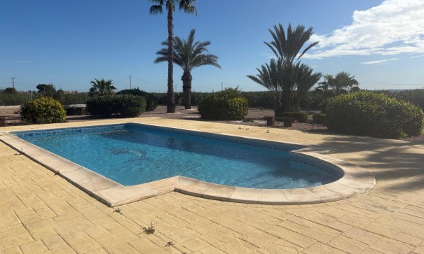 Venta - Chalet Independiente -
Albatera