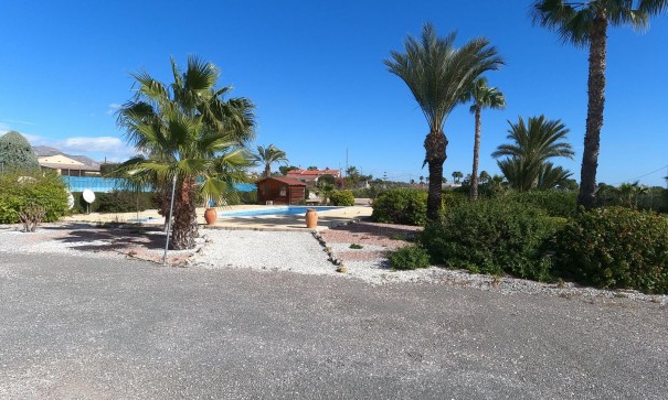 Venta - Chalet Independiente -
Albatera