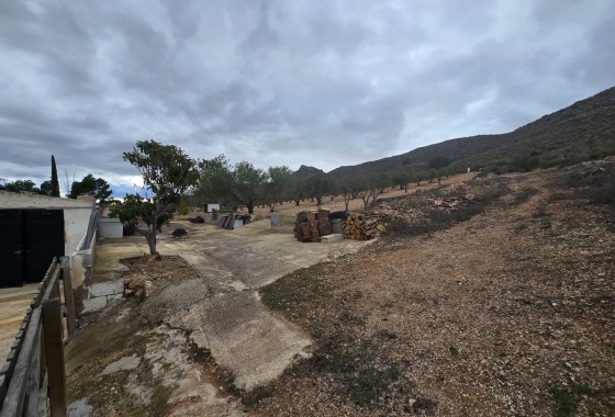 Resale - Finca Landgut -
Yecla