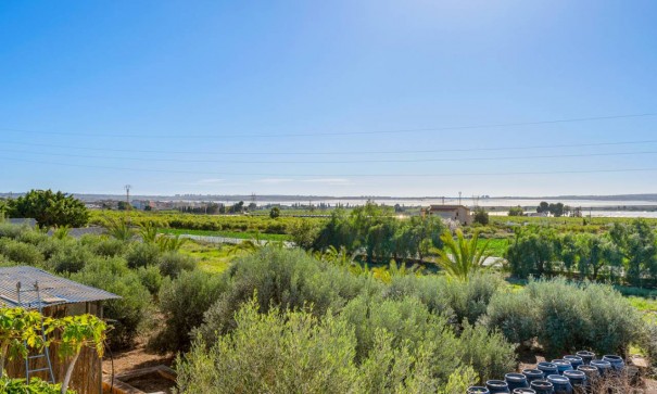 Videresalg - Finca landejendom -
Los Montesinos