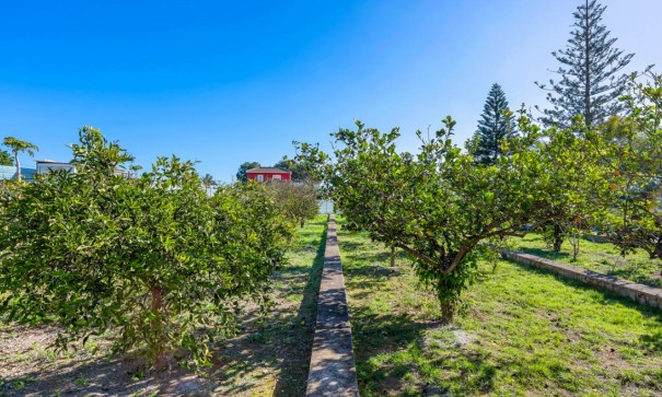 Videresalg - Finca landejendom -
Los Montesinos