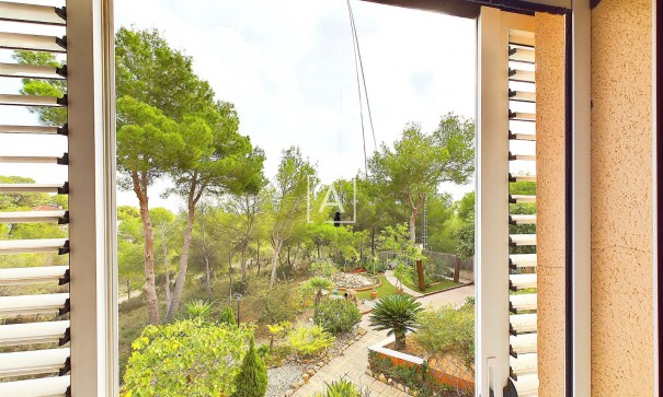 Venta - Chalet Independiente -
Pinar de Campoverde