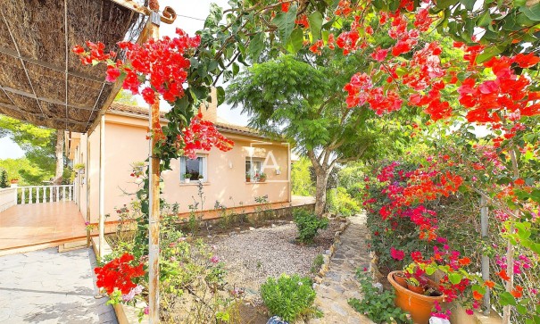 Venta - Chalet Independiente -
Pinar de Campoverde