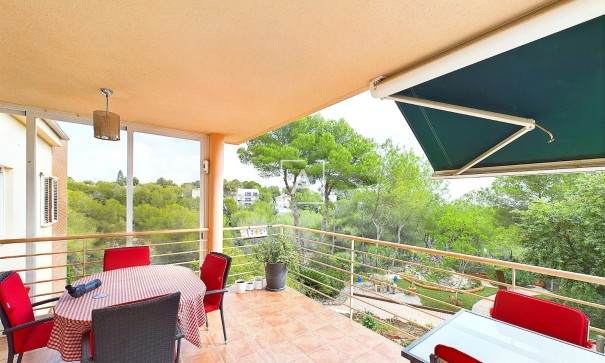 Venta - Chalet Independiente -
Pinar de Campoverde