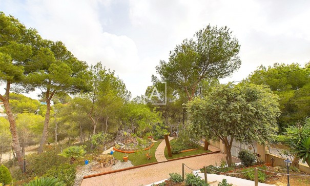 Venta - Chalet Independiente -
Pinar de Campoverde