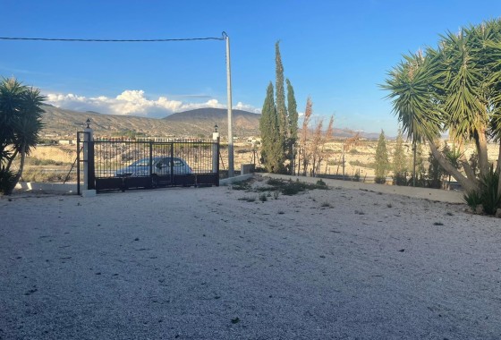 Revente - Finca Propriété rurale -
Fortuna